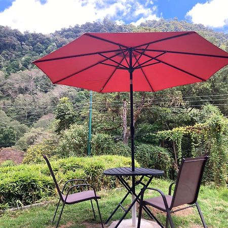 Los Lagos Lodge San Gerardo de Dota Eksteriør bilde