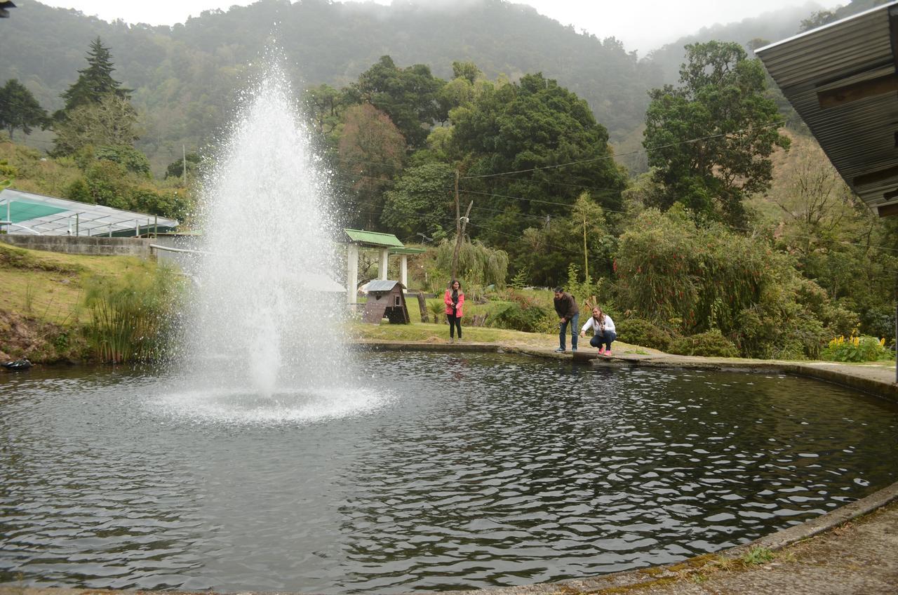 Los Lagos Lodge San Gerardo de Dota Eksteriør bilde