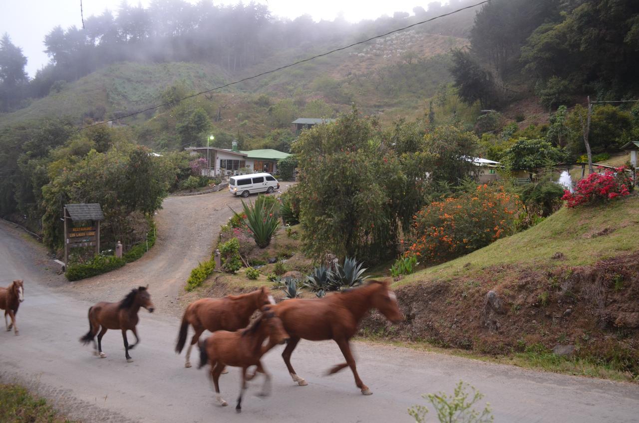 Los Lagos Lodge San Gerardo de Dota Eksteriør bilde
