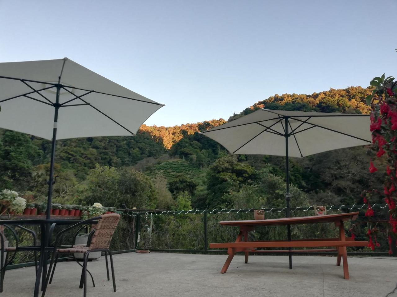 Los Lagos Lodge San Gerardo de Dota Eksteriør bilde